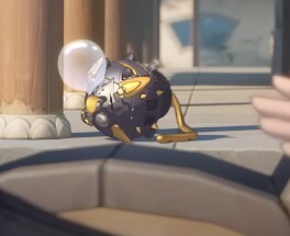 젠레스) 귤복복 전무 착각했네_1.png
