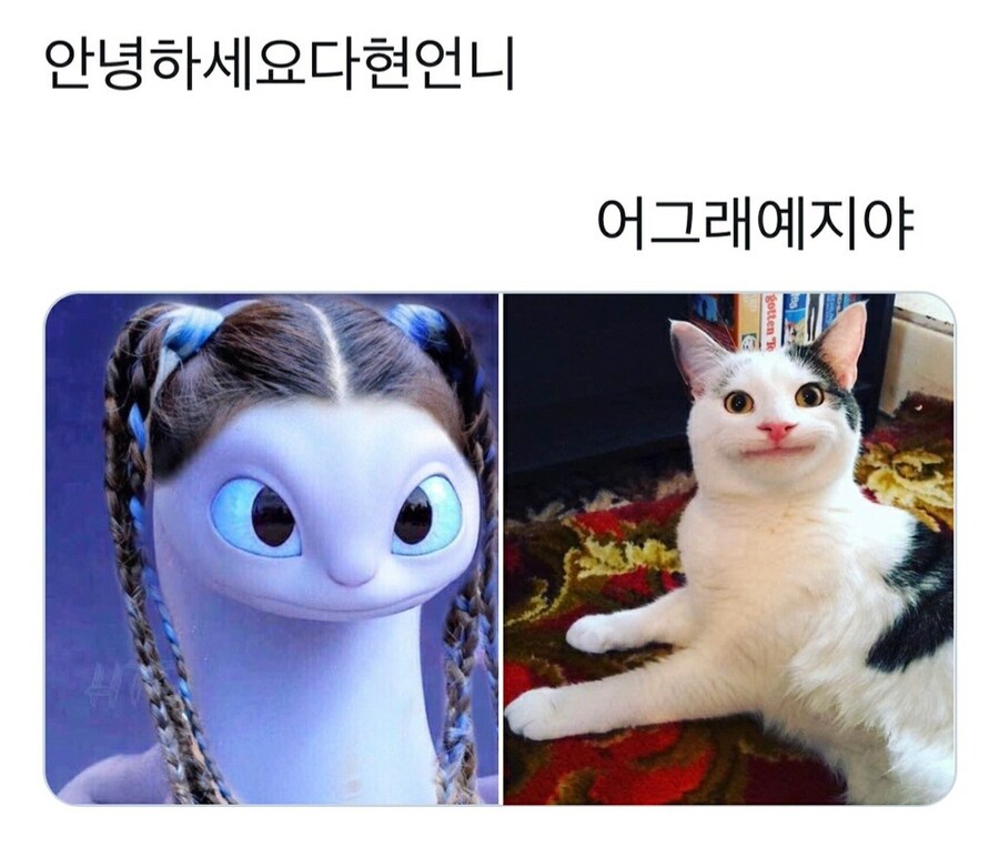 케이팝) 이거 보고 트와이스 다현 생각했음.ㅋㅋ_2.jpg