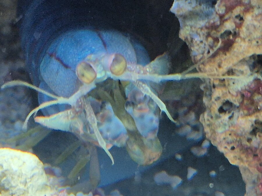 롯데 아쿠아리움(3부)_11.jpg