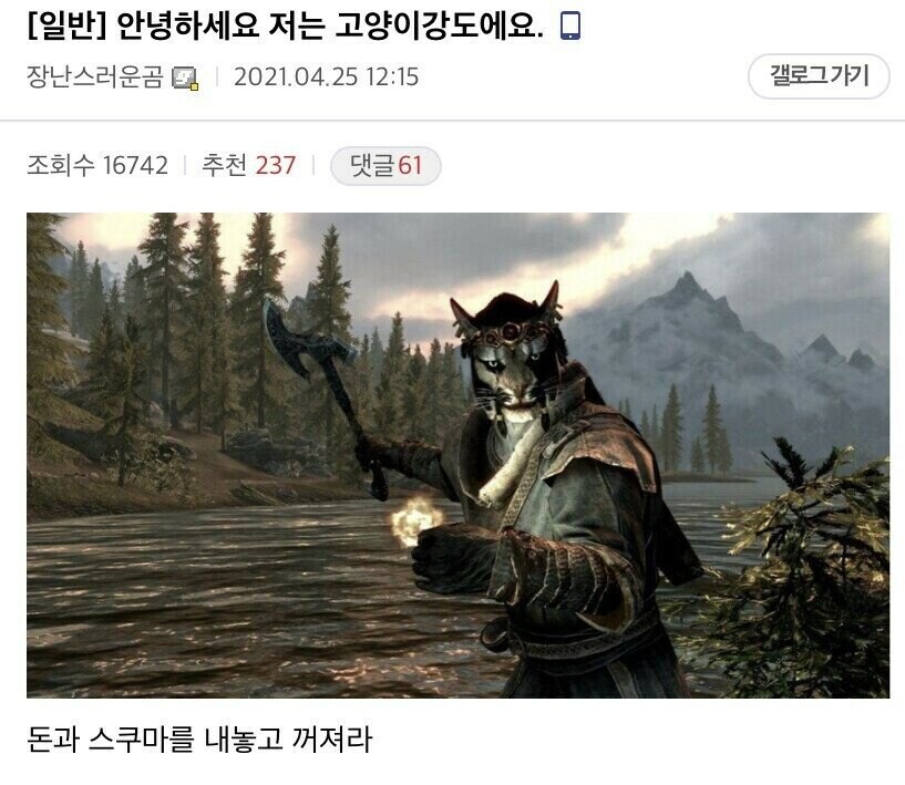 안녕하세요 전 고양이 강도에요.jpg_2.jpg