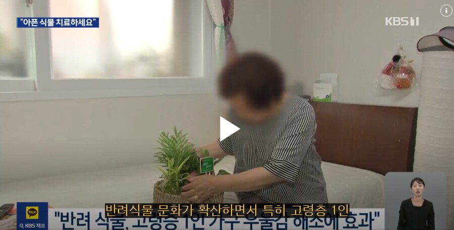 가만히 보면 내 반려 XX 는 프로그램 언어인듯._1.png