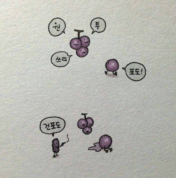 원 투 쓰리 포도.jpg_1.jpg
