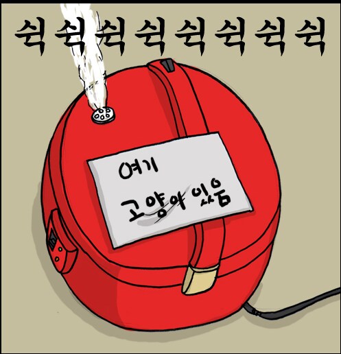 ㅇㅇㄱ때문에 ㅈ토피아로점령된 유게에 고양이짤 달린다._1.png