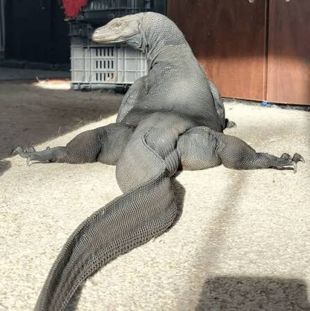 옛날부터 유게에 ㅇㅍㄹ 많이 보였는데 왜 이제와서 난리임?_4.jpg