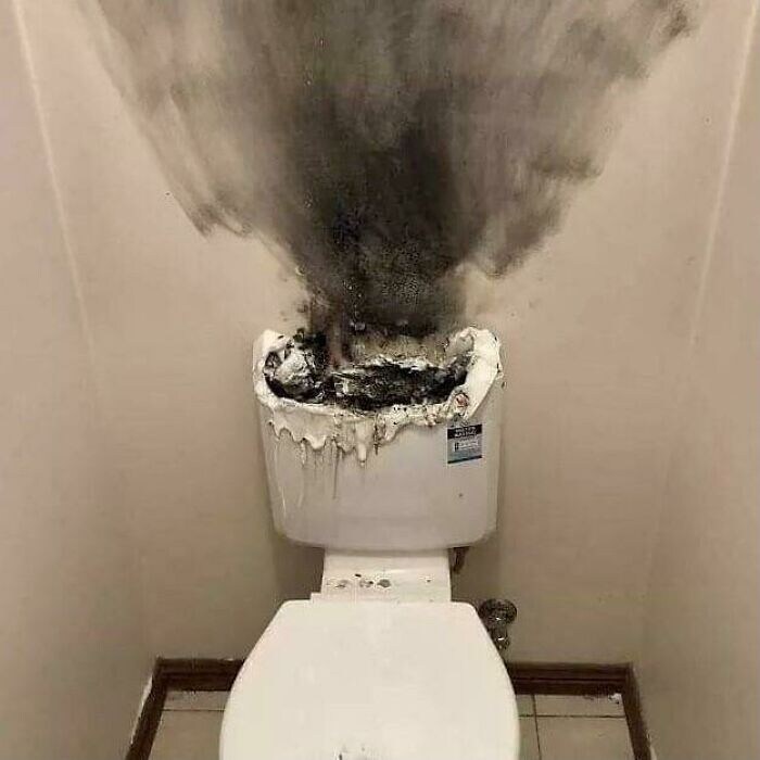 유게이들이 자기 전에 보1지 않기를 권장하는 이미지들🫂_2.jpg