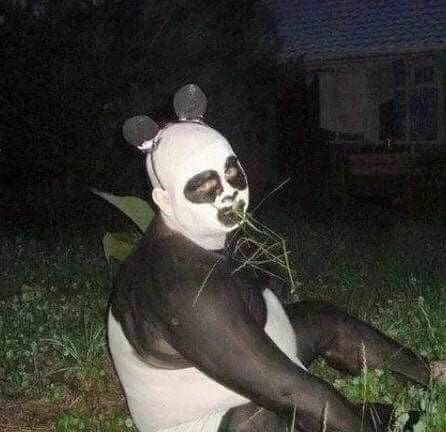 유게이들이 자기 전에 보1지 않기를 권장하는 이미지들🫂_8.jpg