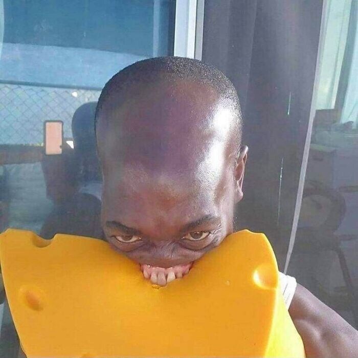 유게이들이 자기 전에 보1지 않기를 권장하는 이미지들🫂_10.jpg