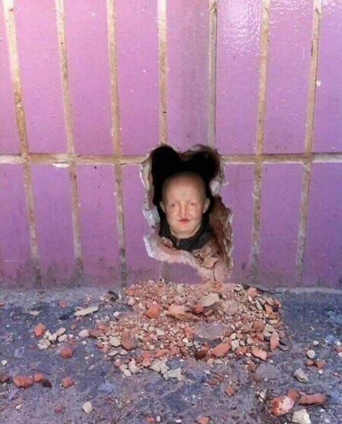 유게이들이 자기 전에 보1지 않기를 권장하는 이미지들🫂_13.jpg