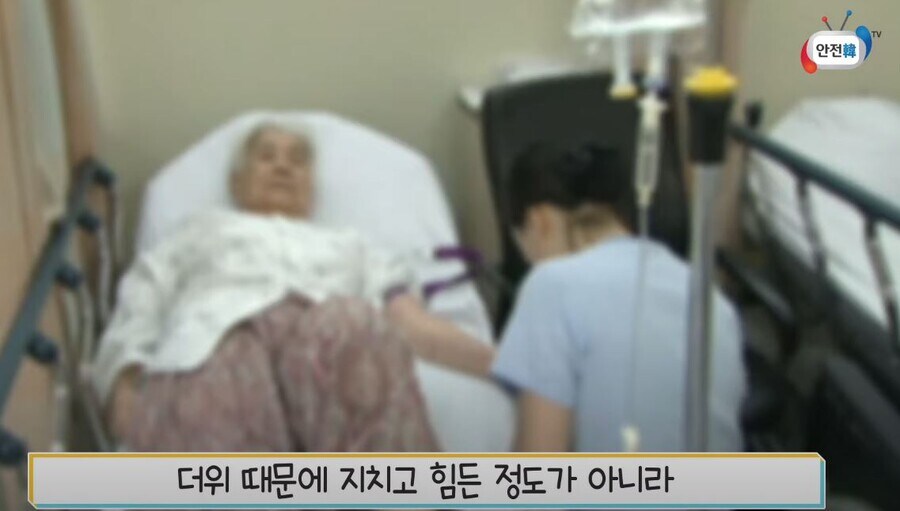 2018년 폭염_9.jpg
