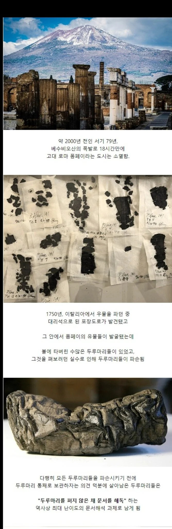 폼페이 화산 때 묻힌 고문서가 철학과의 희망이 됨.jpg_1.jpg