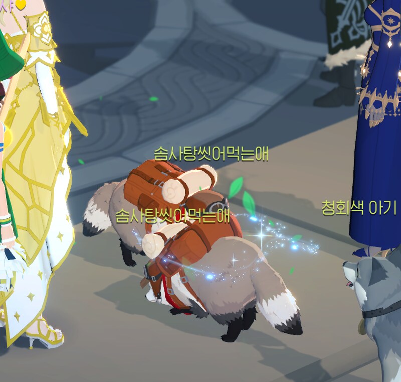 마비m)라쿤 펫 우연의 일치 대박사건_2.png