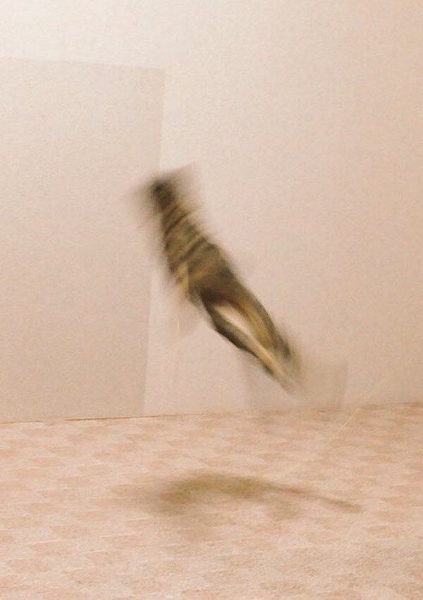 굿모닝 고양이짤_15.jpg