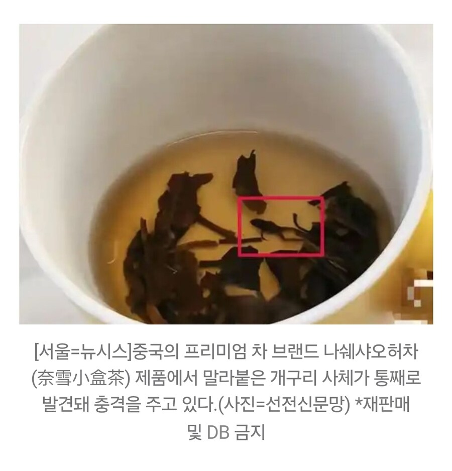 중국의 프리미엄 차 브랜드 근황_1.jpg