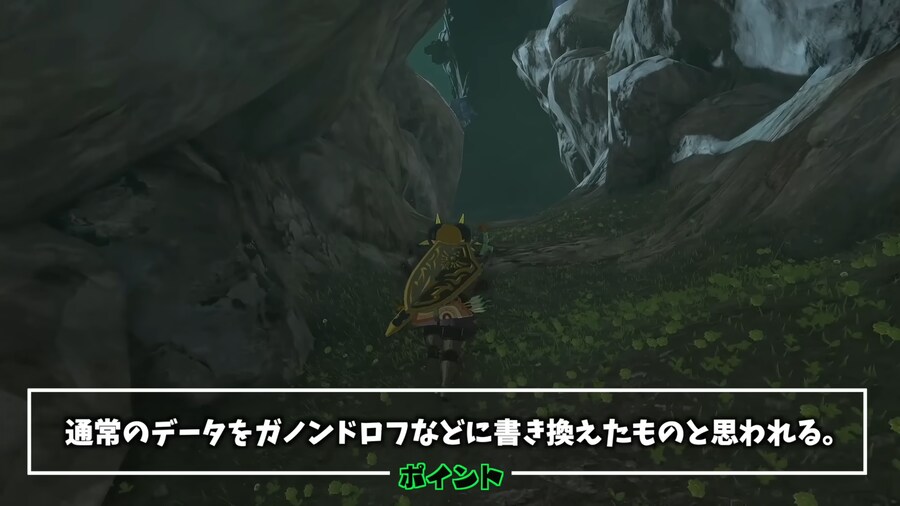 젤다)스위치 2판 왕눈 근황.jpg_14.png