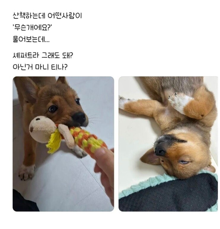 편견없는 대한민국.jpg_1.jpg