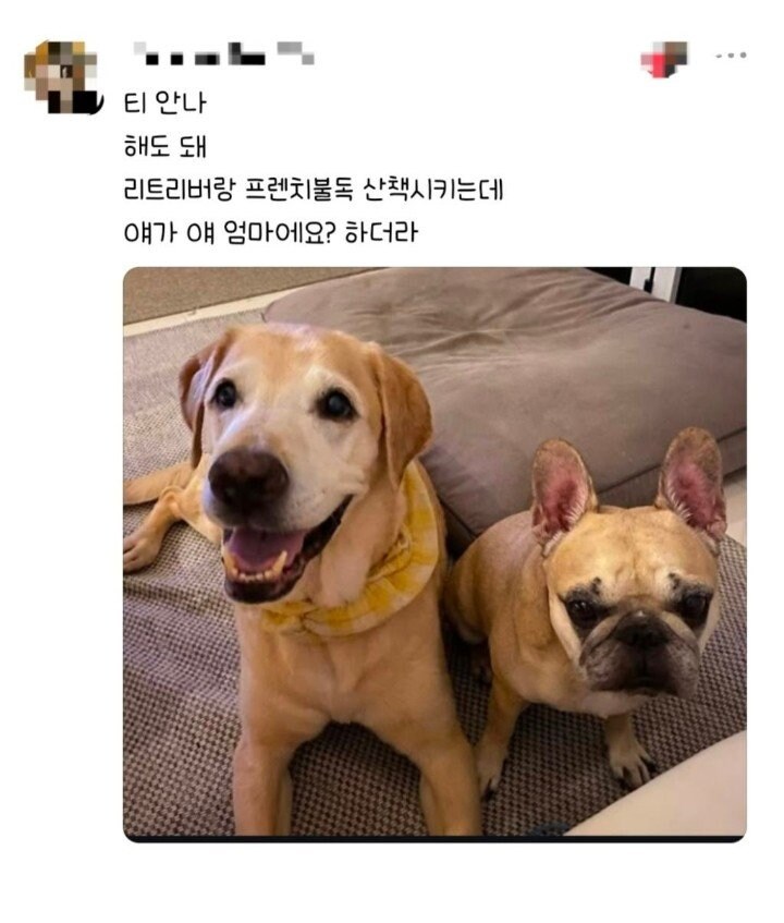 편견없는 대한민국.jpg_2.jpg