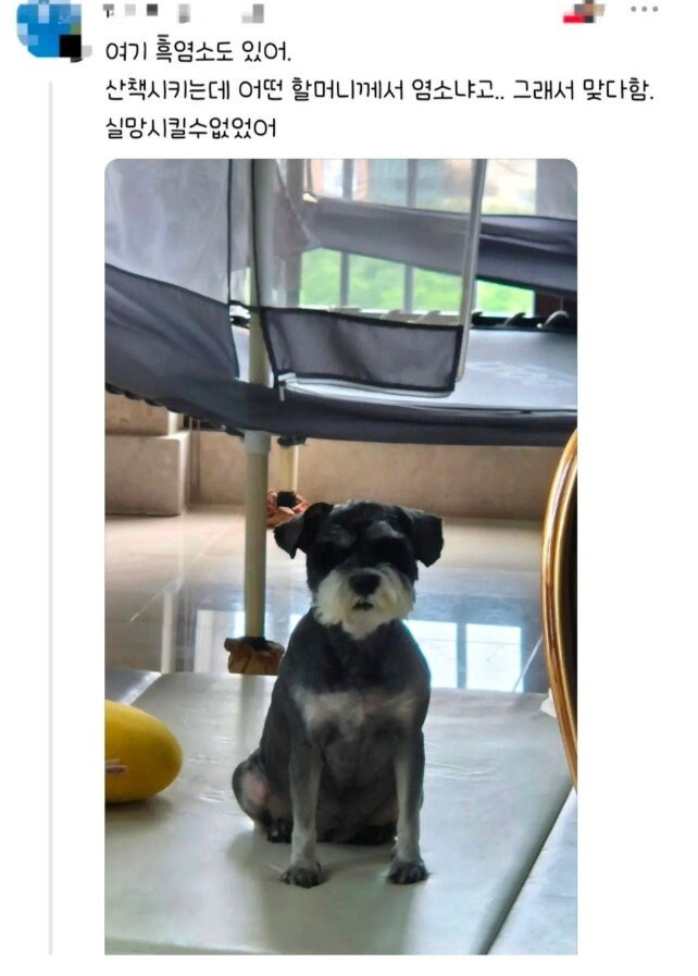 편견없는 대한민국.jpg_3.jpg