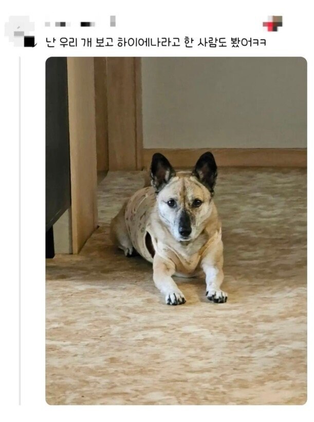 편견없는 대한민국.jpg_4.jpg