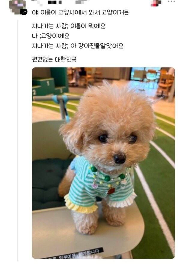편견없는 대한민국.jpg_7.jpg