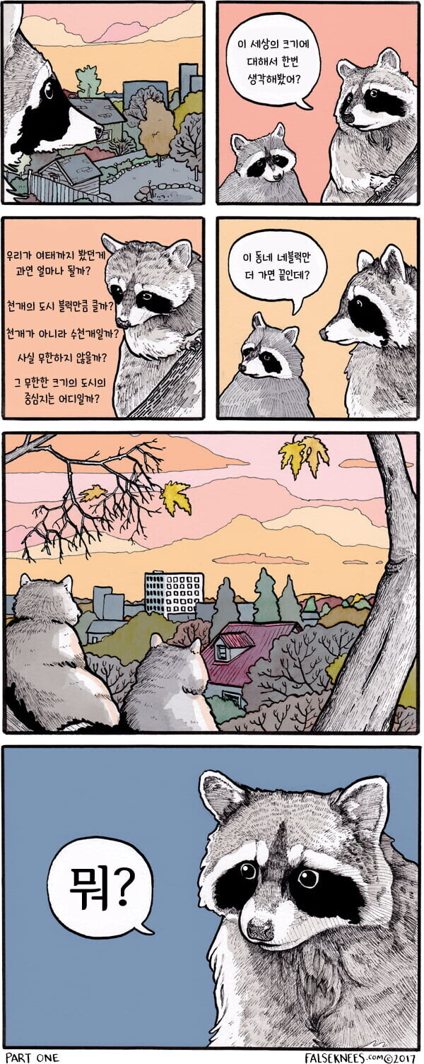 어딘가 철학적인 라쿤 만화.manga_1.jpg