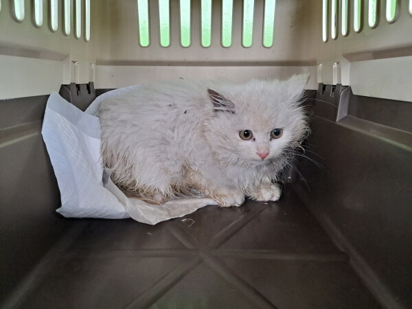 정은 주지 않겠다고 생각한지 500여일째_1.jpg