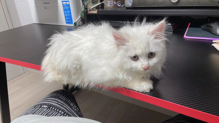 정은 주지 않겠다고 생각한지 500여일째_2.jpg