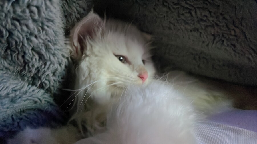 정은 주지 않겠다고 생각한지 500여일째_4.jpg