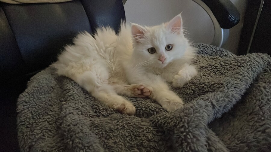 정은 주지 않겠다고 생각한지 500여일째_5.jpg