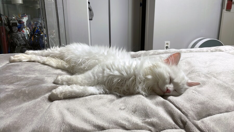 정은 주지 않겠다고 생각한지 500여일째_7.jpg