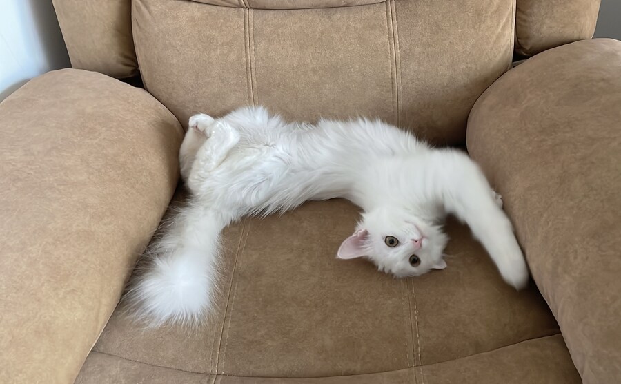 정은 주지 않겠다고 생각한지 500여일째_10.jpg