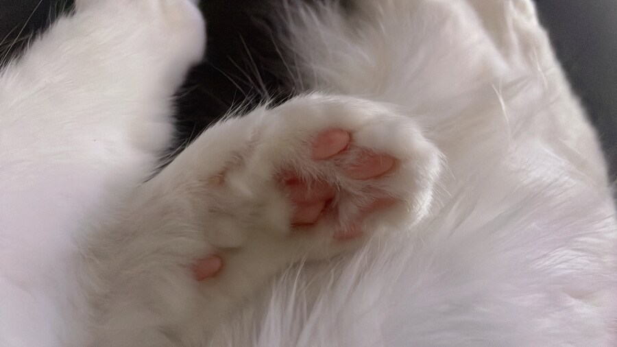 정은 주지 않겠다고 생각한지 500여일째_11.jpg