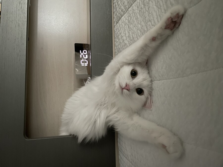 정은 주지 않겠다고 생각한지 500여일째_13.jpg