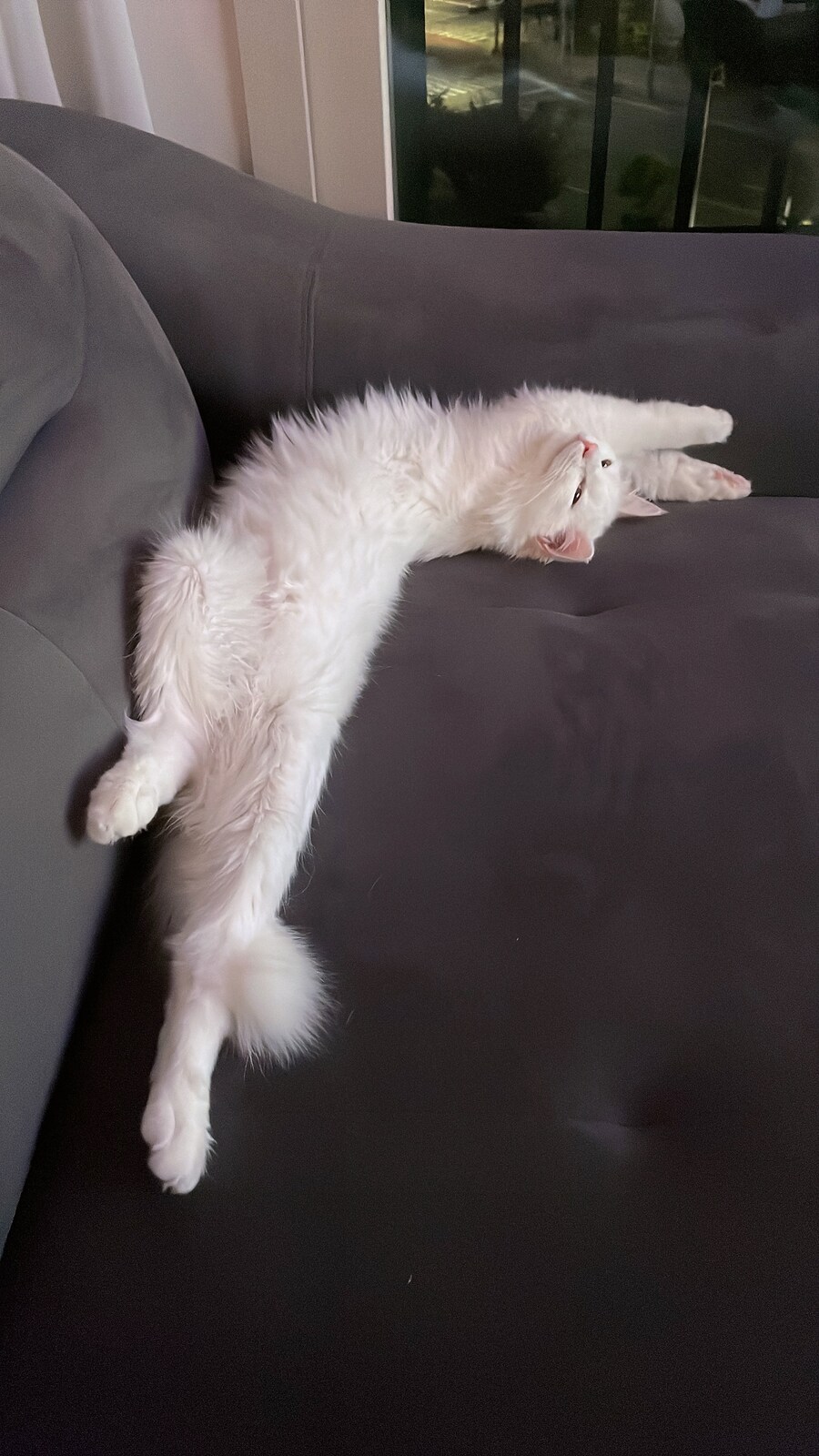 정은 주지 않겠다고 생각한지 500여일째_14.jpg