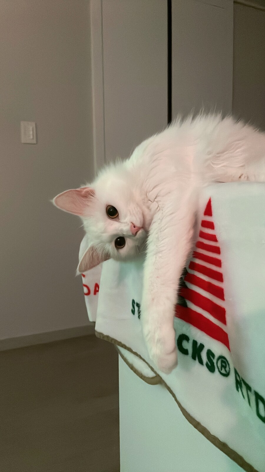 정은 주지 않겠다고 생각한지 500여일째_15.jpg