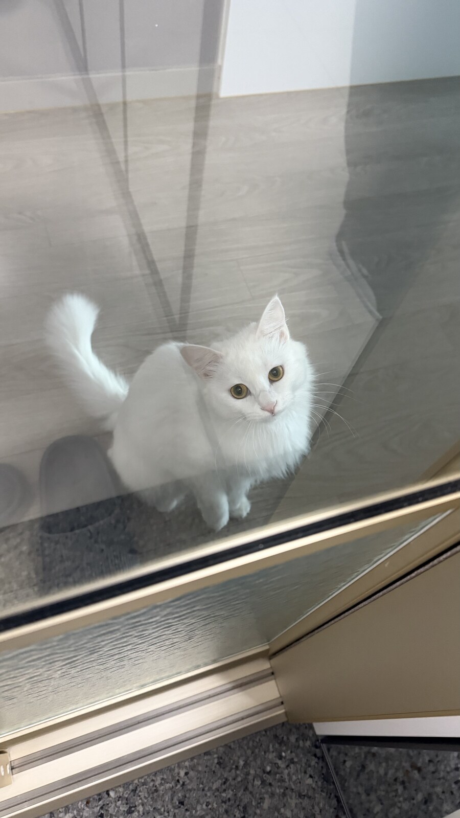 정은 주지 않겠다고 생각한지 500여일째_18.jpg