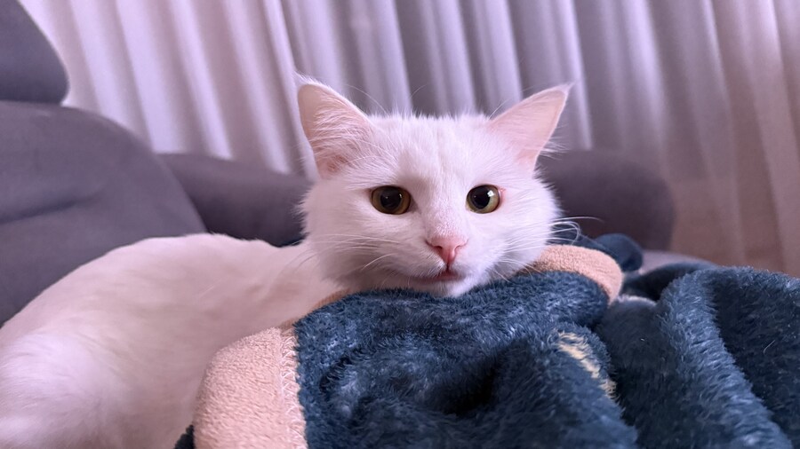 정은 주지 않겠다고 생각한지 500여일째_19.jpg