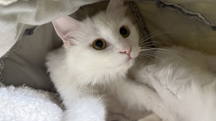 정은 주지 않겠다고 생각한지 500여일째_20.jpg