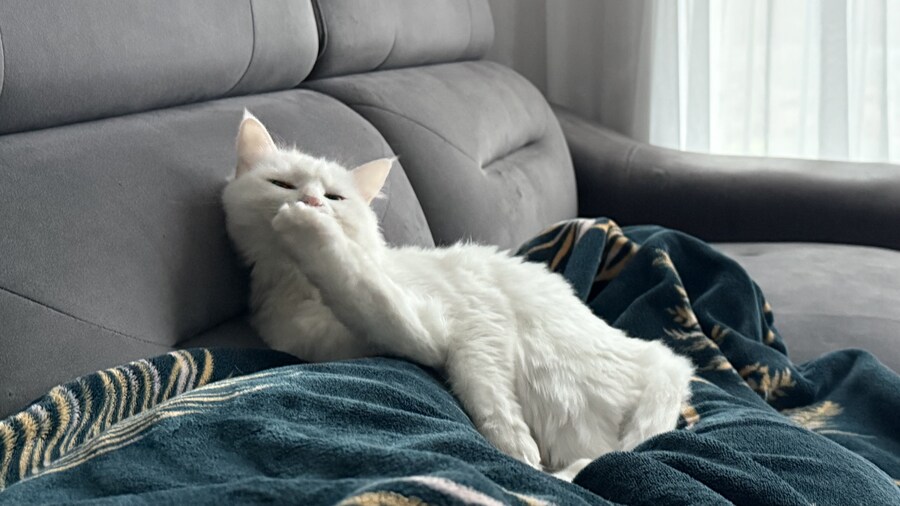 정은 주지 않겠다고 생각한지 500여일째_21.jpg