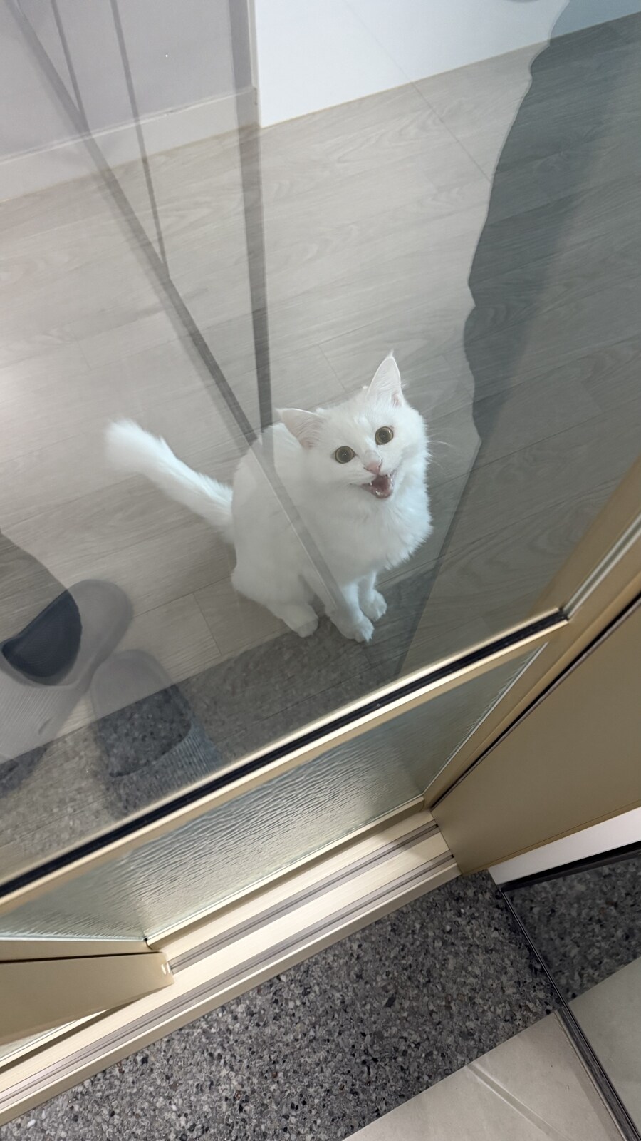 정은 주지 않겠다고 생각한지 500여일째_22.jpg