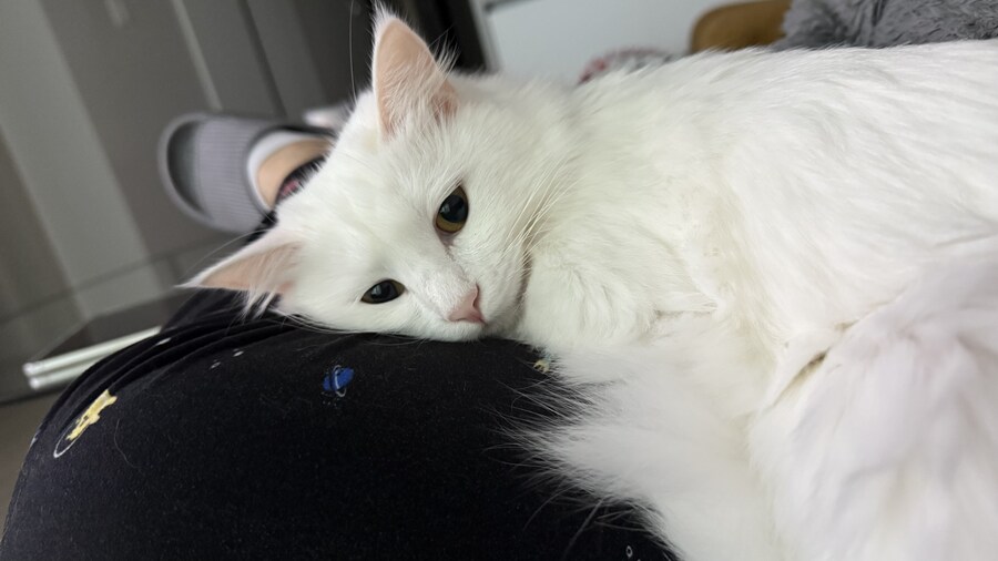 정은 주지 않겠다고 생각한지 500여일째_23.jpg