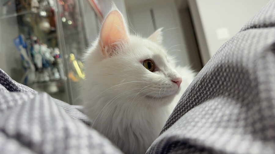 정은 주지 않겠다고 생각한지 500여일째_26.jpg