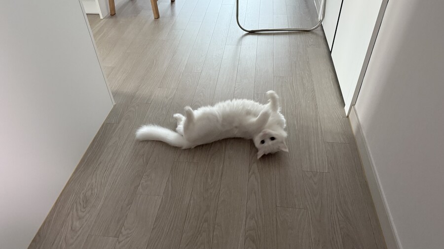 정은 주지 않겠다고 생각한지 500여일째_27.jpg