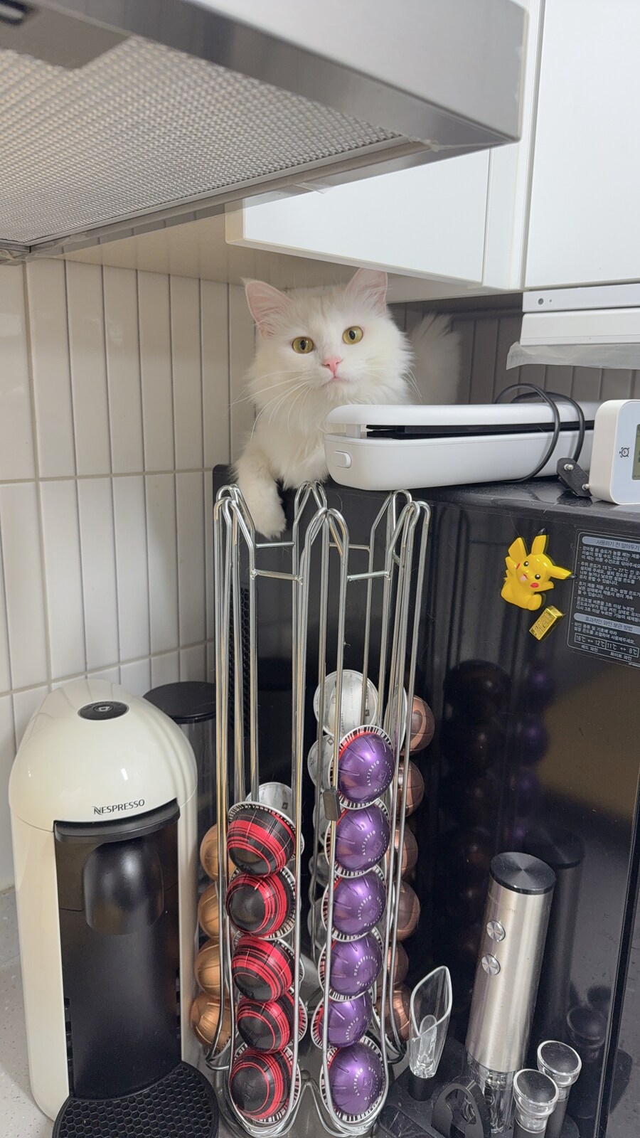 정은 주지 않겠다고 생각한지 500여일째_28.jpg