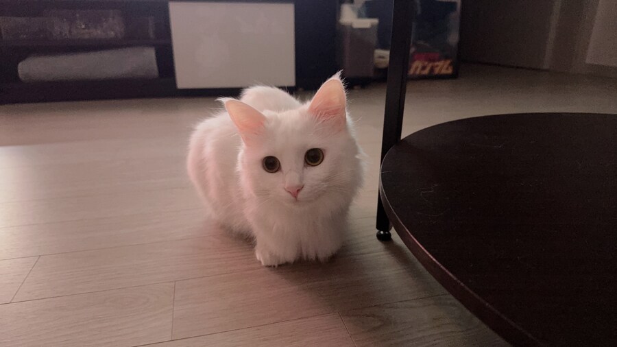 정은 주지 않겠다고 생각한지 500여일째_29.jpg