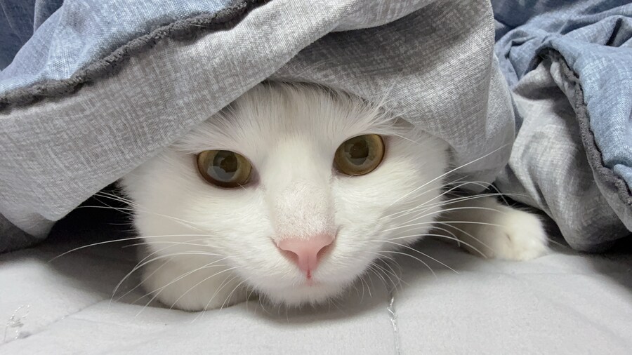 정은 주지 않겠다고 생각한지 500여일째_30.jpg