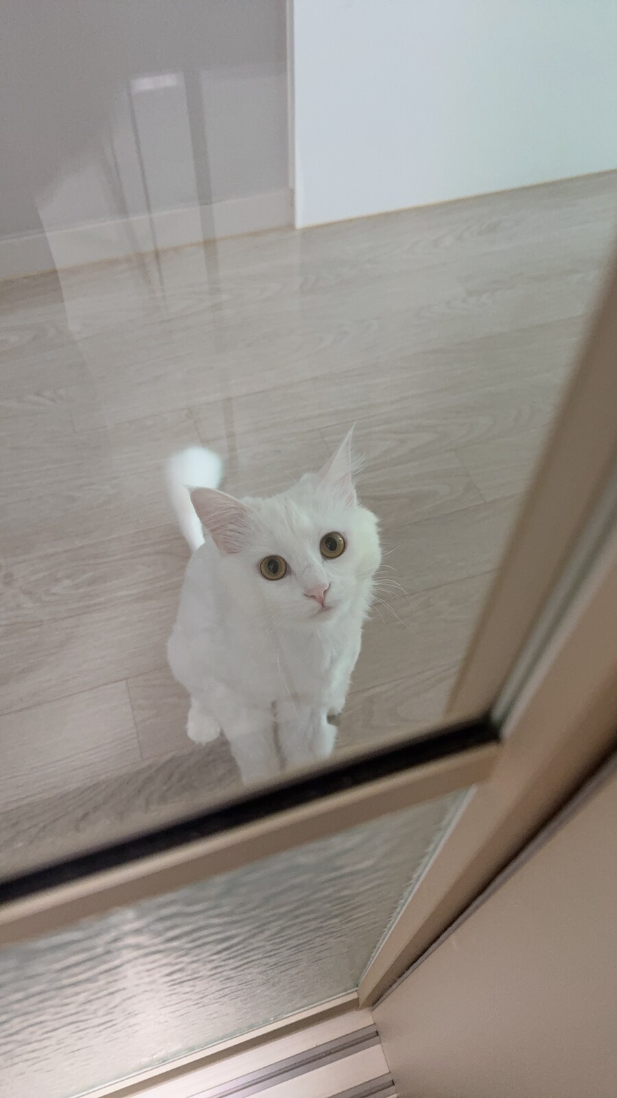 정은 주지 않겠다고 생각한지 500여일째_31.jpg