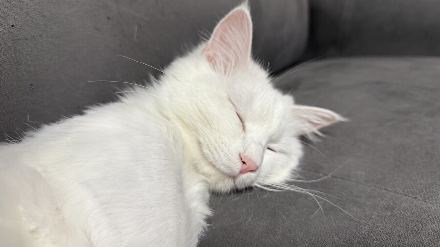 정은 주지 않겠다고 생각한지 500여일째_33.jpg