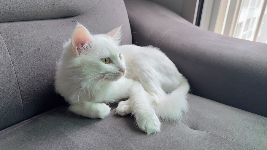 정은 주지 않겠다고 생각한지 500여일째_36.jpg