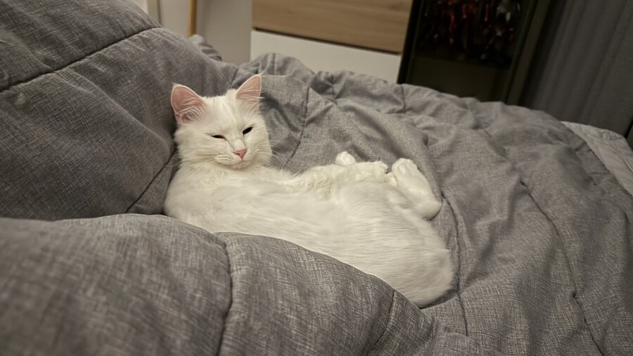 정은 주지 않겠다고 생각한지 500여일째_37.jpg