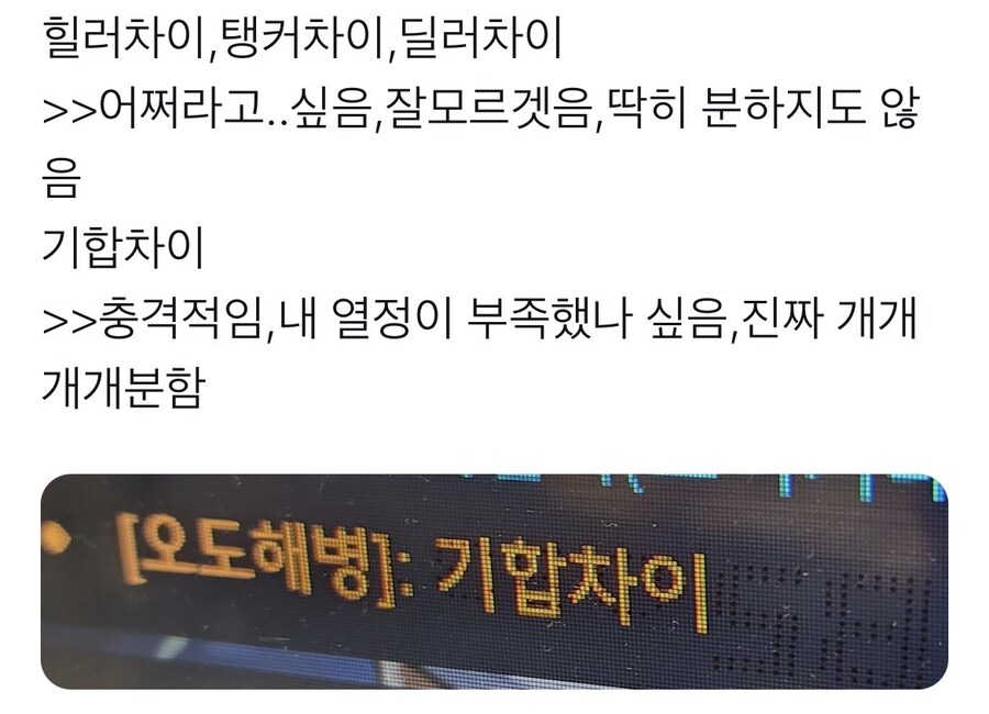 딜러차이 탱커차이 힐러차이보다 더 아픈거_1.jpg